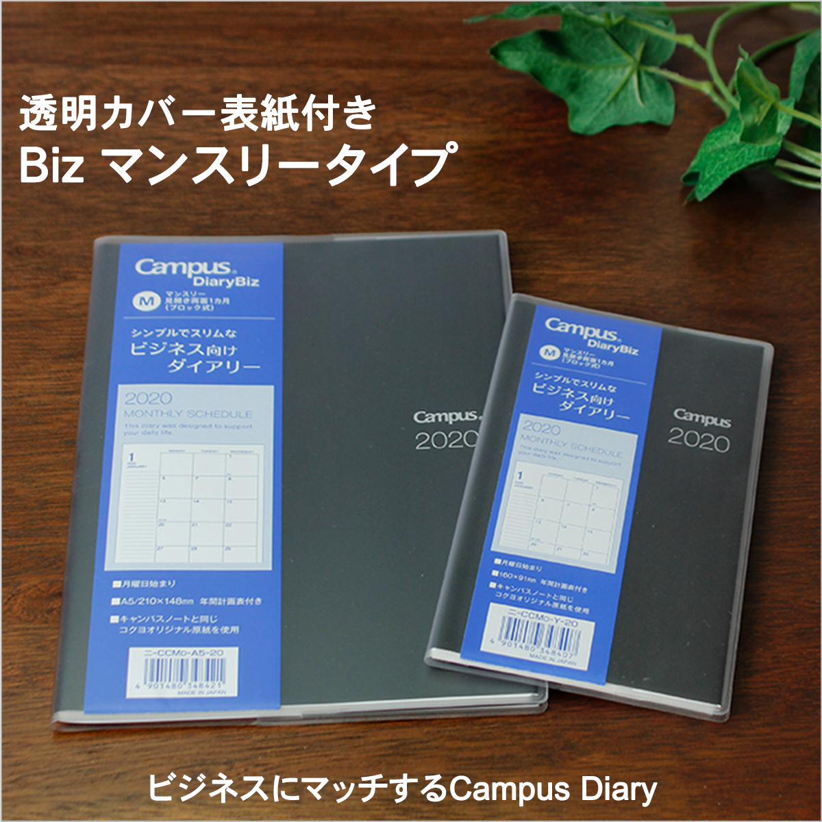 キャンパスダイアリー内容1