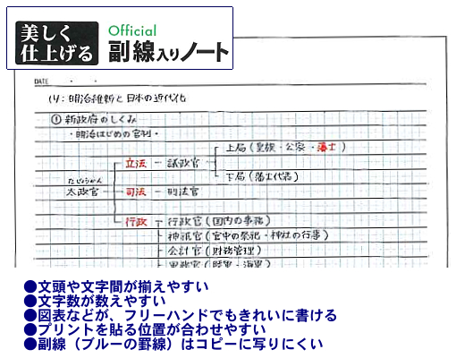 オフィシャル 副線入りルーズリーフ A罫 Blfz50a ノート 通販サイト ブングショップドットコム